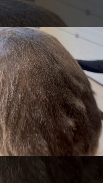 РотНаОборот.