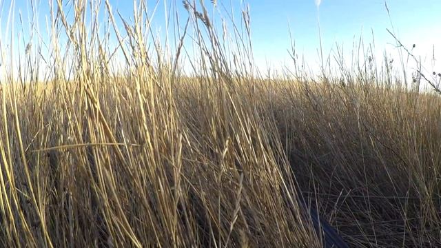 Охота на ГУСЯ- Долгожданное открытие 2018