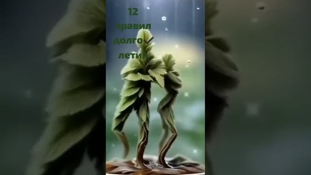 Двенадцать правил долголетия