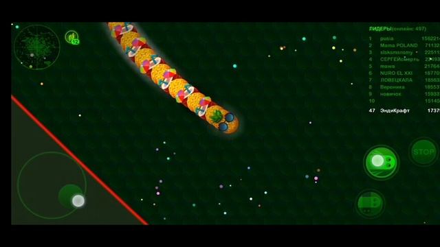 Играю за очень прикольный скин в Wormax.io. Пытаюсь войти в ТОП.