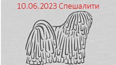 Россия 2023-1. 10.06.2023 Ринг спешалити. Сравнение ЛПП