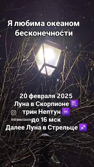 #20февраля2025 #гороскопдня