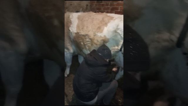 Каждый занимается своим делом