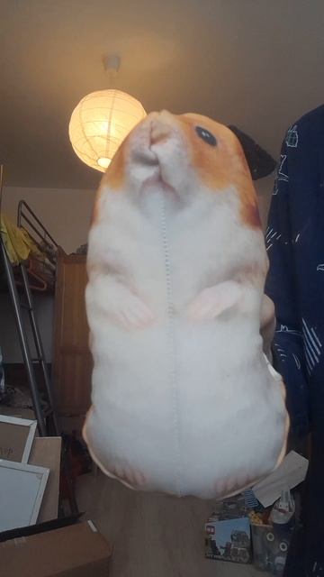 жрака