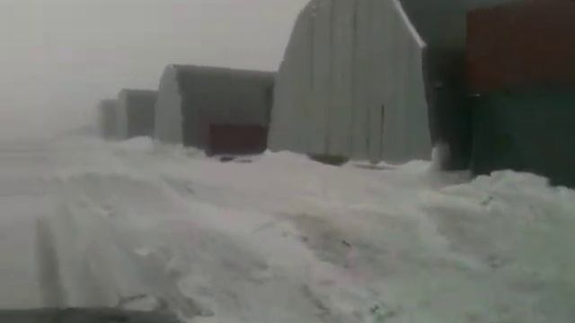 IMG 0947