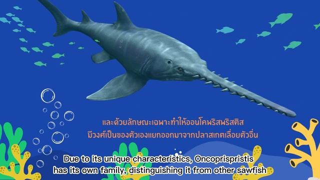 รายการ ท่องโลกไดโนเสาร์ EP 65 เรื่อง ออนโคพริสติส Onchopristis