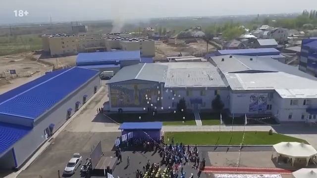 Отзывы клиентов Высоцкий Консалтинг / Елена Ли