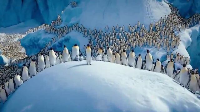 Happy Feet Two Under pressure