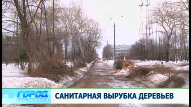 Вырубка деревьев за филармонией 16.4.13 Город