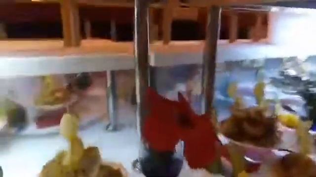 Поездка в Сиде(Турция)