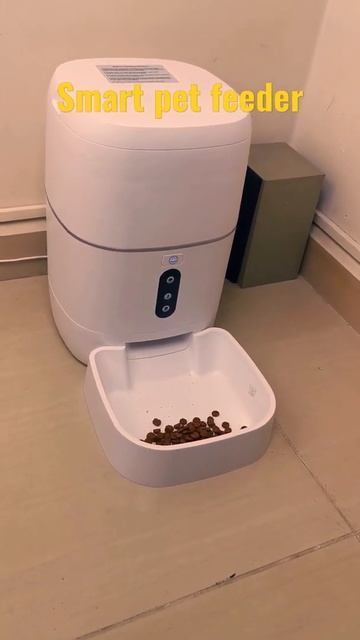 Smart pet feeder. cat scheduled diet. I ll never forget to feed here #shorts #petlover #smarthome