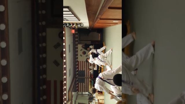 Taekwondo Blue Belt Test for Marcelo & Felipe