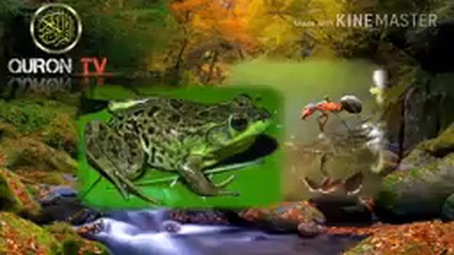 Мора имруз якчи фребдода истодас навси палид