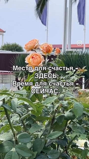 Здесь и сейчас