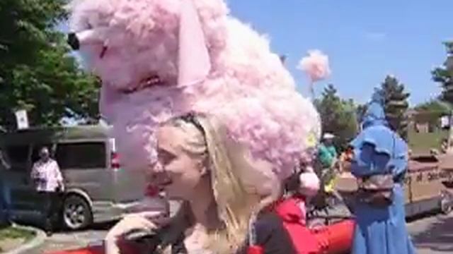 Kinetic Sculpture Race