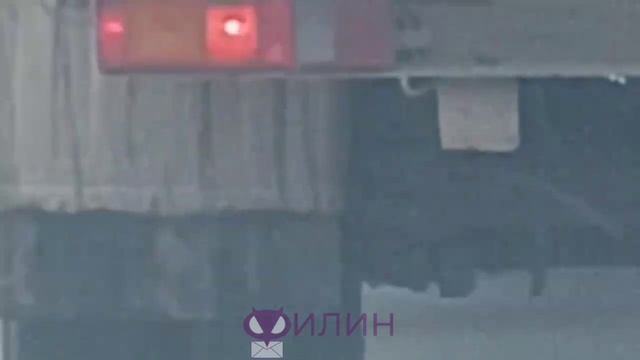 В Усть-Куте зафиксирован недобросовестный вывоз мусора