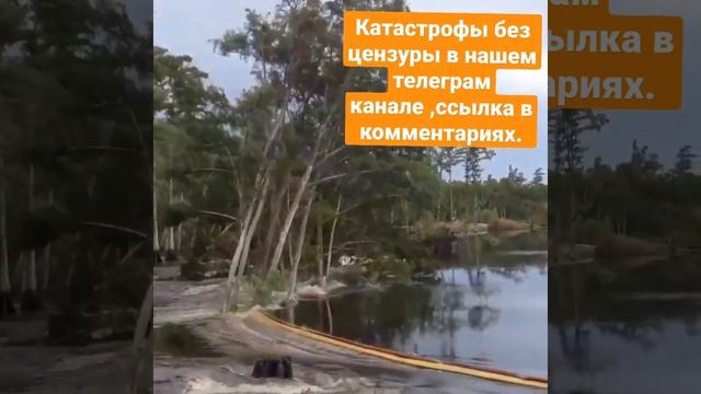 Карстовая воронка поглащает деревья. #водоворот #воронка #Shorts