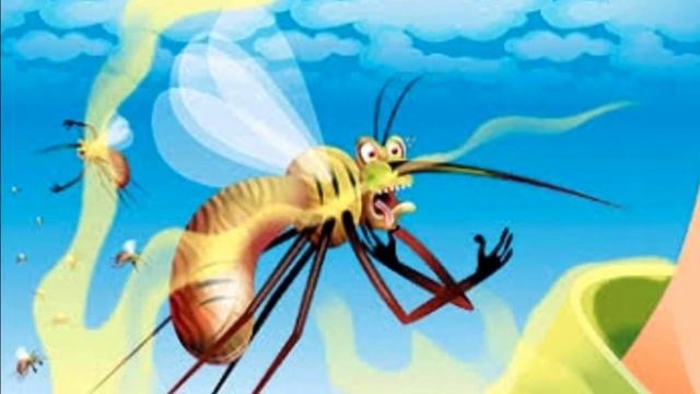 The most dangerous insects that transmit diseases | Mosquito