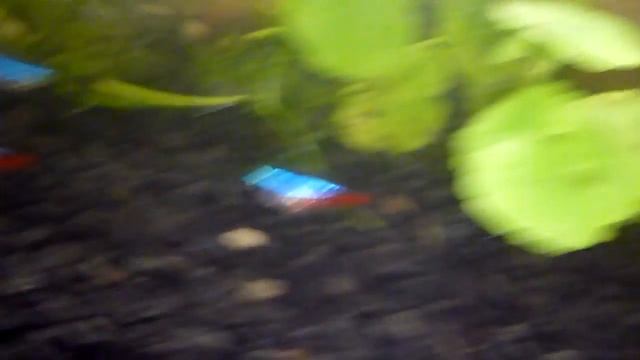 2011 03 07 21 24 52