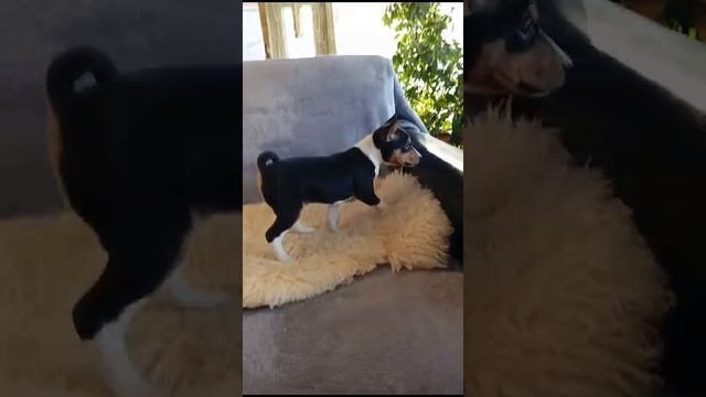 1000310673.mp4