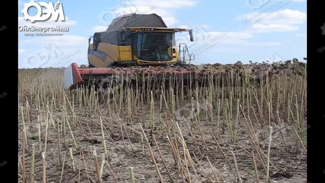 В поле на комбайне ЖСН  жатка подсолнечниковая