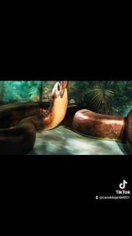 fotos da anaconda do filme anaconda 4 a cobra rara e poderosa