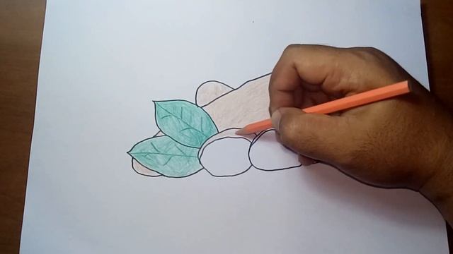 Cara Menggambar Kunyit // How To Draw Turmeric
