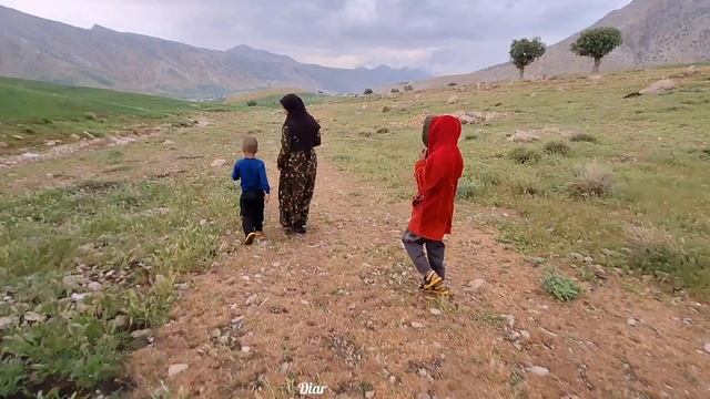 "Harvesting Dry Weeds for Sale & Searching for Missing Goats"