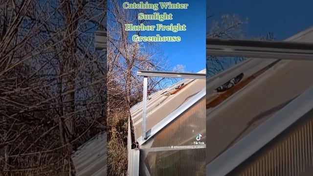 Catching Winter Sunlight - Harbor Freight Greenhouse