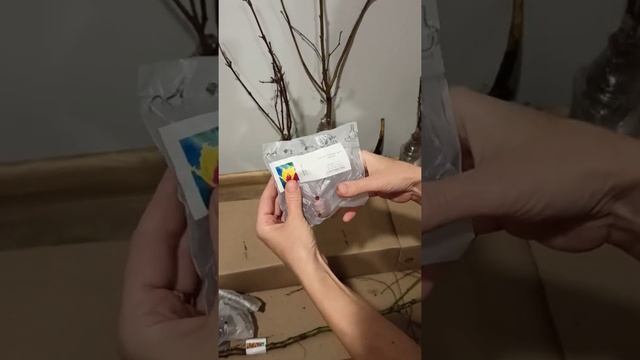 Агро-маркет осенняя посылка от любимого магазина, распаковка.