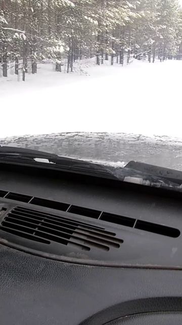 снегу полно