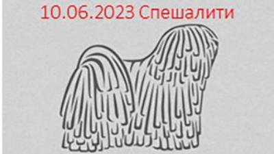 Россия 2023-1. 10.06.2023 Ринг спешалити. Сравнение кобели открытый класс