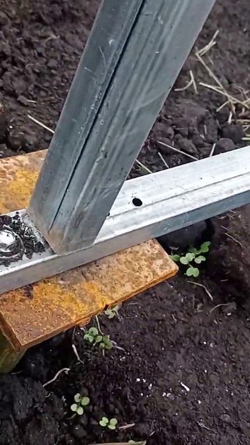 Как правильно собрать теплицу из сотового поликарбоната?