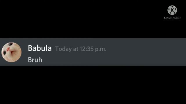 When Dog Meets Cat (In Discord) | beluga | discord