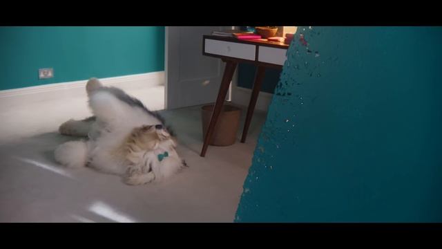 Dulux Simply Refresh TV advert