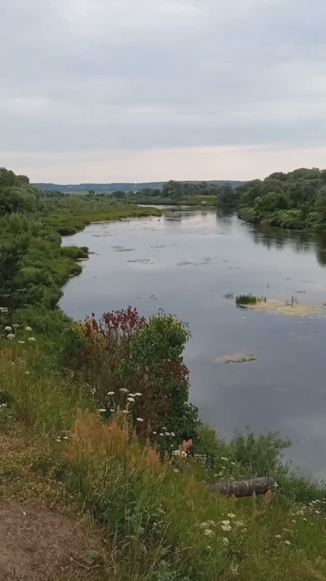 Дворцы, Угра 2023 год.