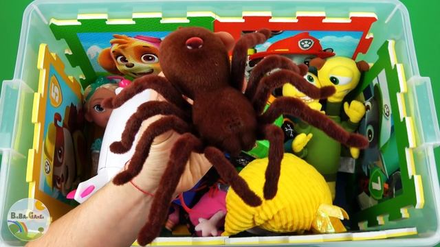 Characters, vehicles & colors learn videos for kids: Centipede, Peppa Pig, Rapunzel, Spider and etc