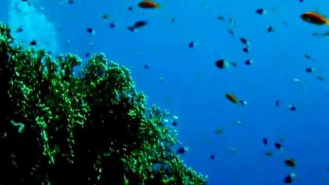 Surface.avi