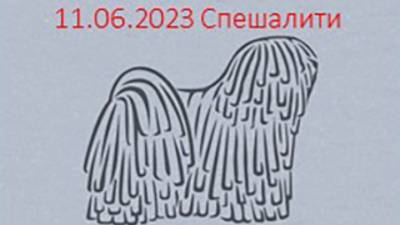 Пули белая Шими