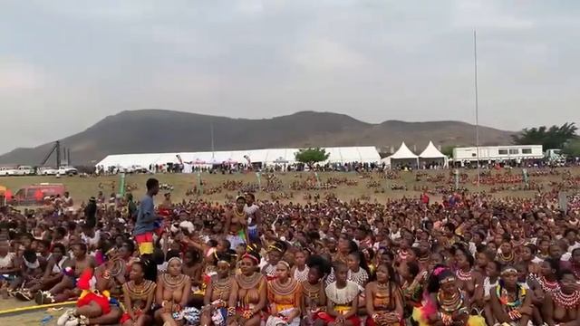 UMKHOSI WOMHLANGA 2022, KWANONGOMA, ENYOKENI. ZULU REED DANCE #ZULU #IZINTOMBI #HERITAGE