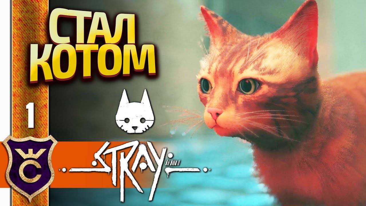 Проходим Симулятор Котика