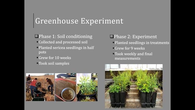 Resisting Invasion: How Native Plant Communities Interact with an Invasive Legume