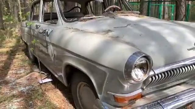 нашел в лесу Волгу, вандалы всё разбили
