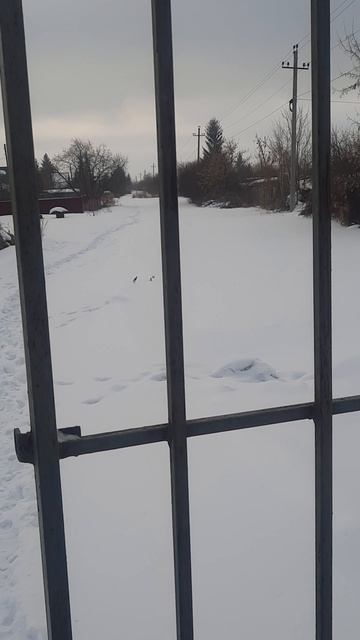 втз 2032а