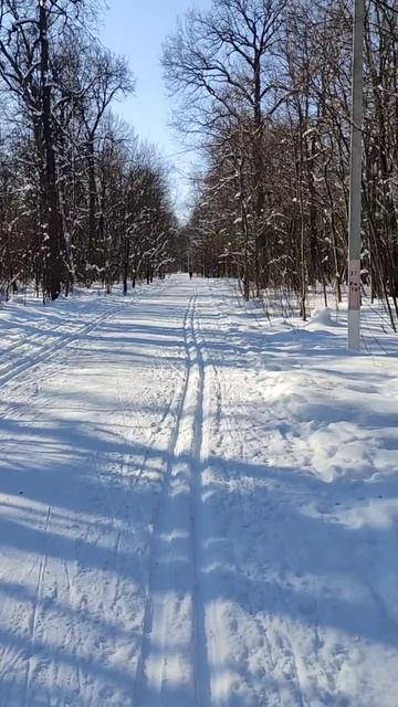 Гуляйте на лыжах!