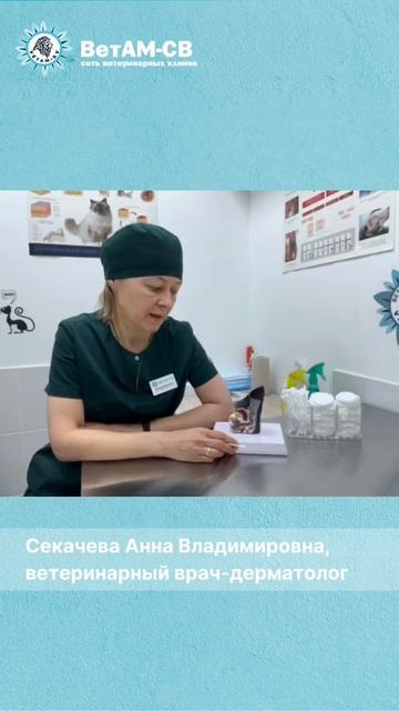 Можно ли выщипывать шерсть в ушке животного?