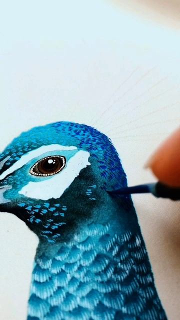 Peacock Drawing #shorts #viral #viralvideo #art