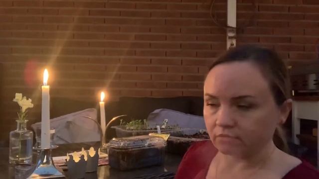 Как я сажаю цветы осенью