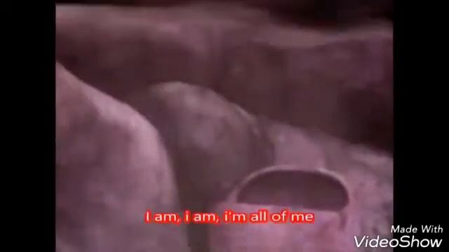 Ёж шэдоу