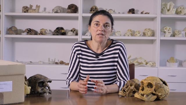 El descubrimiento del 'Homo luzonensis' explicado por una investigadora en evolución humana